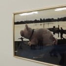 DSCN8327_JPG-1353166925