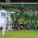 Rapid gegen Mattersburg: Sieg für die Hütteldorfer (17.11.12)