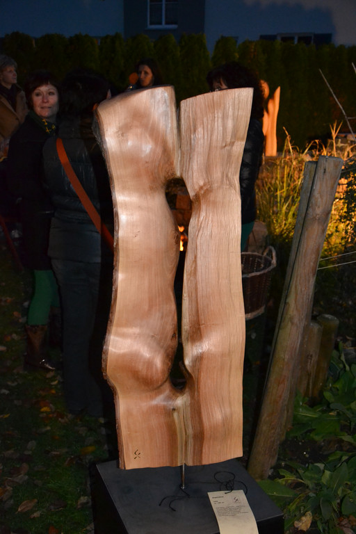 DSC_0506_JPG-1353229269