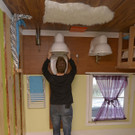 ABD0004-20121118.jpg