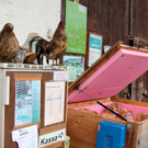 KOE_Aussiedlerhof Schatzmann 5_jpg-1353248693