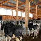 KOE_Aussiedlerhof Schatzmann 19_jpg-1353248770