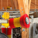 KOE_Aussiedlerhof Schatzmann 24_jpg-1353248799
