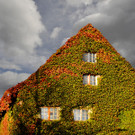 Markus Solterbeck-Herbst_jpg-1353250188