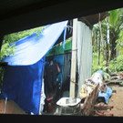 Dach __berm Kopf 17112012 _9__JPG-1353251540