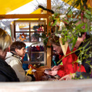 BK_Fraschtner Herbstmarkt 29_jpg-1353254191