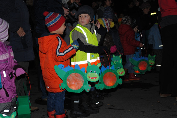 DSC_2011_JPG-1353268395