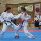 Landesmeisterschaft Karate