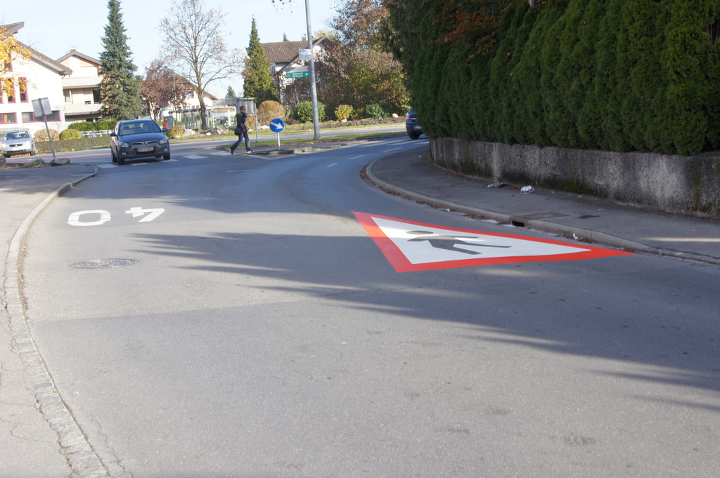 DSC08733_JPG-1353273193