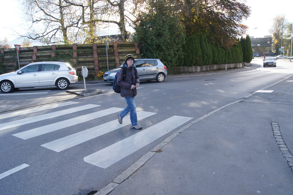 DSC08741_JPG-1353273228