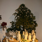 IMG_8816.JPG