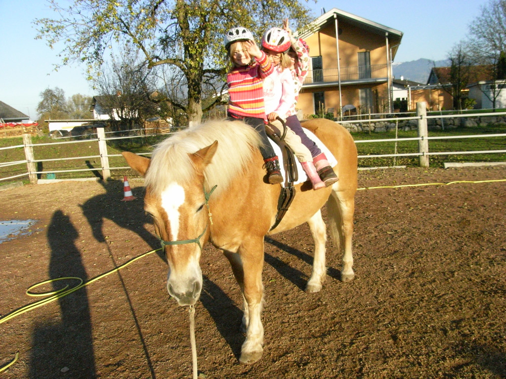 3 auf pferd_JPG-1353310836