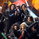 pitbull.jpg
