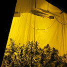 p71911-Foto4.JPG
