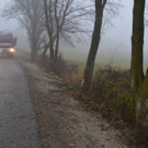 DSC_0550.JPG