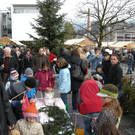 DSCN8496_jpg-1353345384