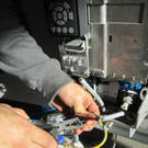 IMG_5007_JPG-1353348754