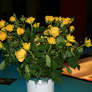 IMG_9156.JPG