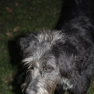 bea_Andrea_Krenn_Tierpflegestelle_MadH _20__JPG-1353361358