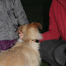 bea_Andrea_Krenn_Tierpflegestelle_MadH _19__JPG-1353361383