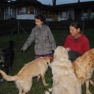 bea_Andrea_Krenn_Tierpflegestelle_MadH _15__JPG-1353361378