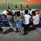 DAB1252-20121113.jpg