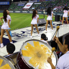 DAB1248-20121113.jpg