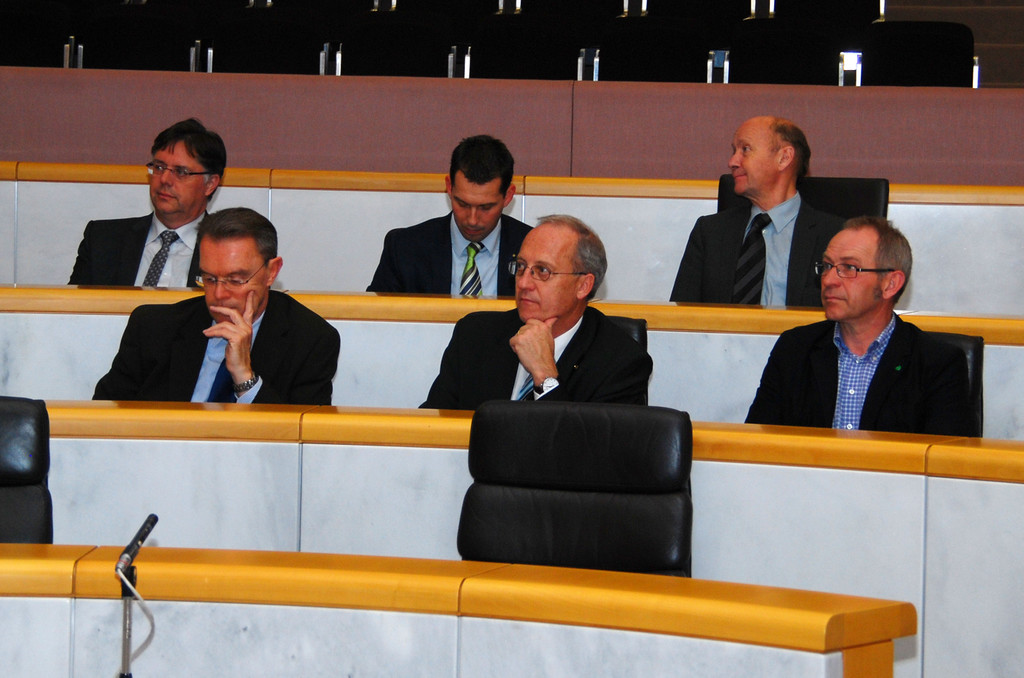 ParlTreffen_RGG_DSC_8164_jpg-1353428613