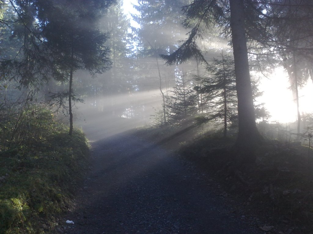 20112012701_jpg-1353440913