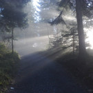 Weitere Bilder vom Pfänder