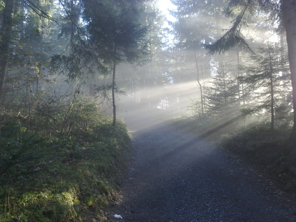 20112012702_jpg-1353440916