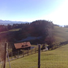 20112012704_jpg-1353440918