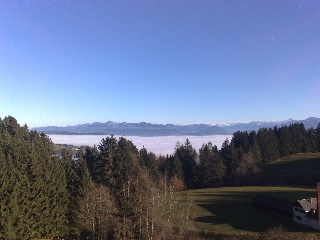 20112012706_jpg-1353440922