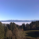 20112012706_jpg-1353440922