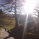 20112012707_jpg-1353440927