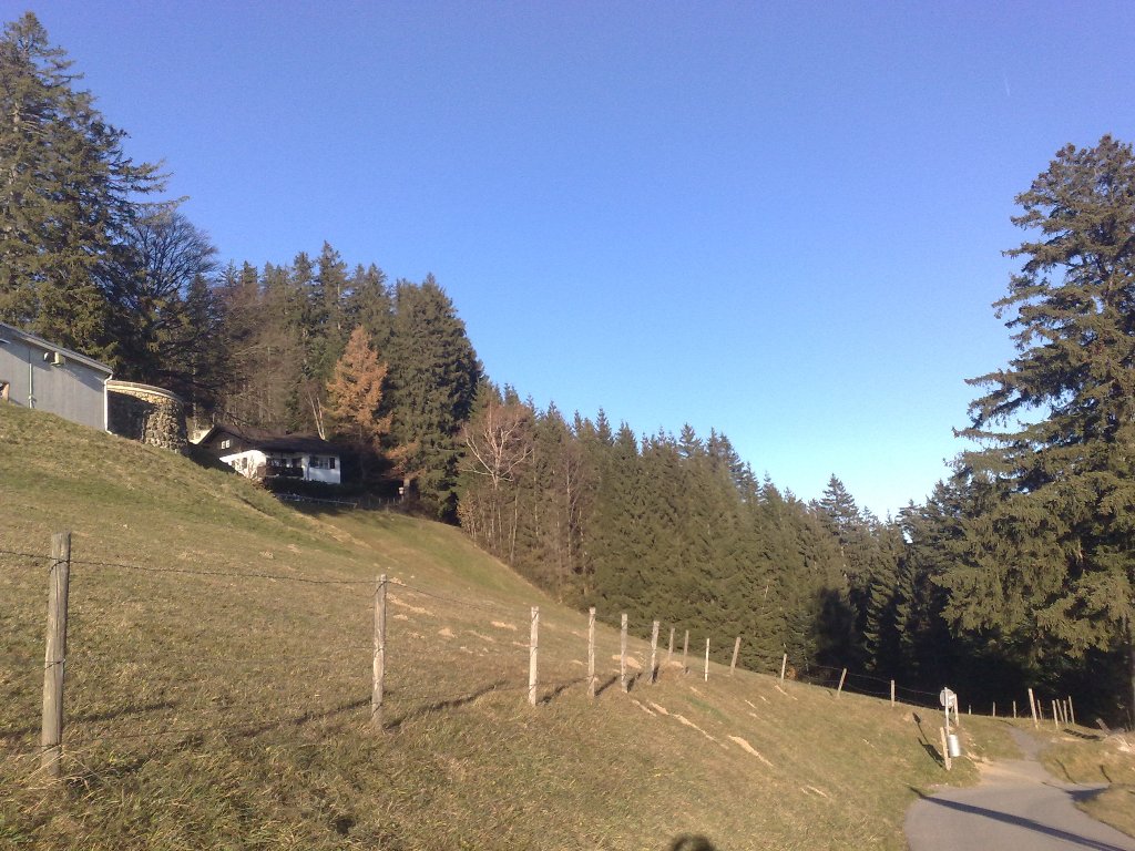 20112012709_jpg-1353440933