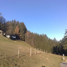 20112012709_jpg-1353440933