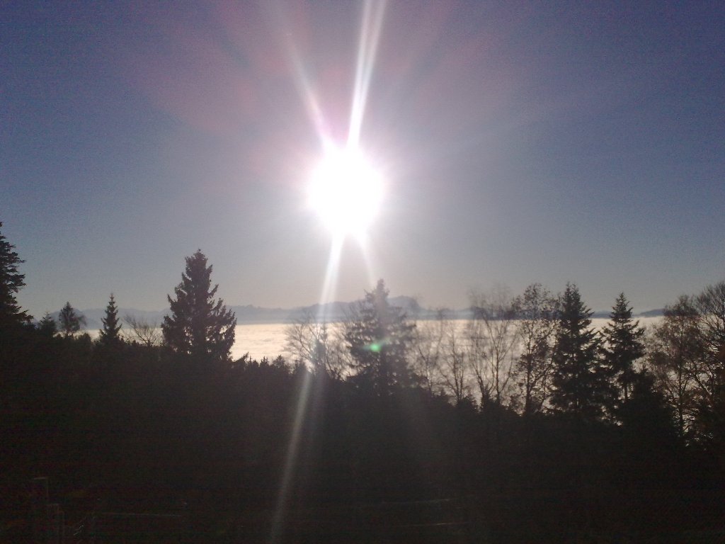 20112012710_jpg-1353440934