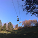 20112012712_jpg-1353440939