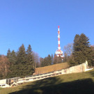 20112012713_jpg-1353440941