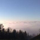 20112012714_jpg-1353440942