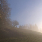 20112012715_jpg-1353440943