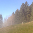 20112012716_jpg-1353440945