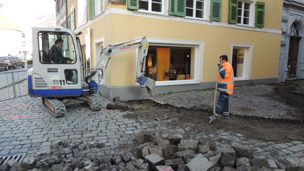 DSCN8121_JPG-1353459417