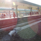 DSCN8082_JPG-1353460508