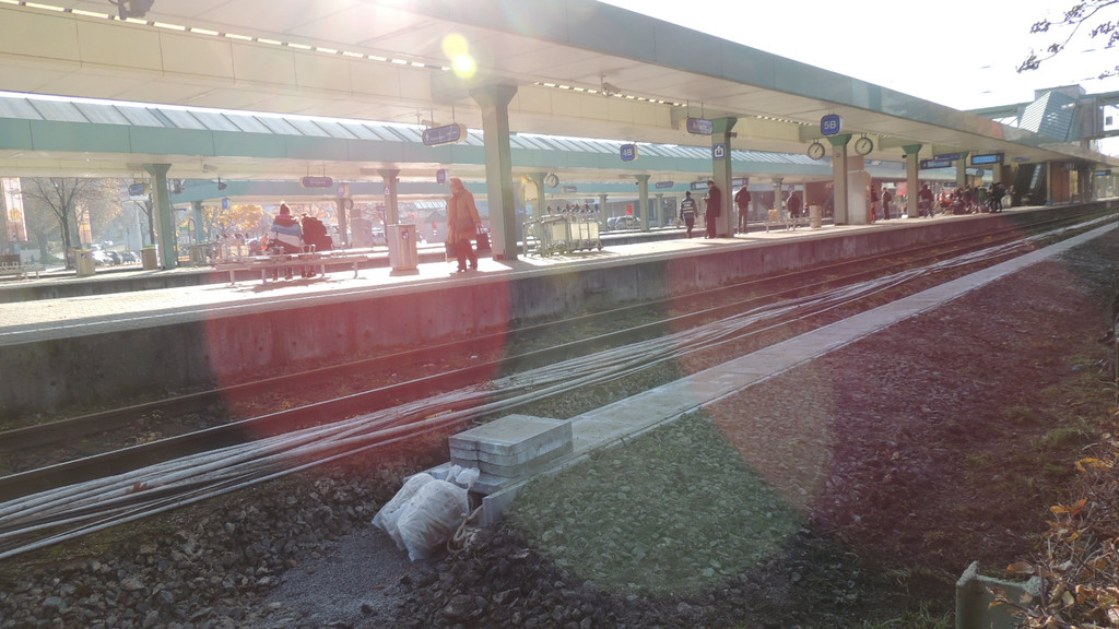 DSCN8082_JPG-1353460508