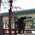 DSCN8070_JPG-1353460489