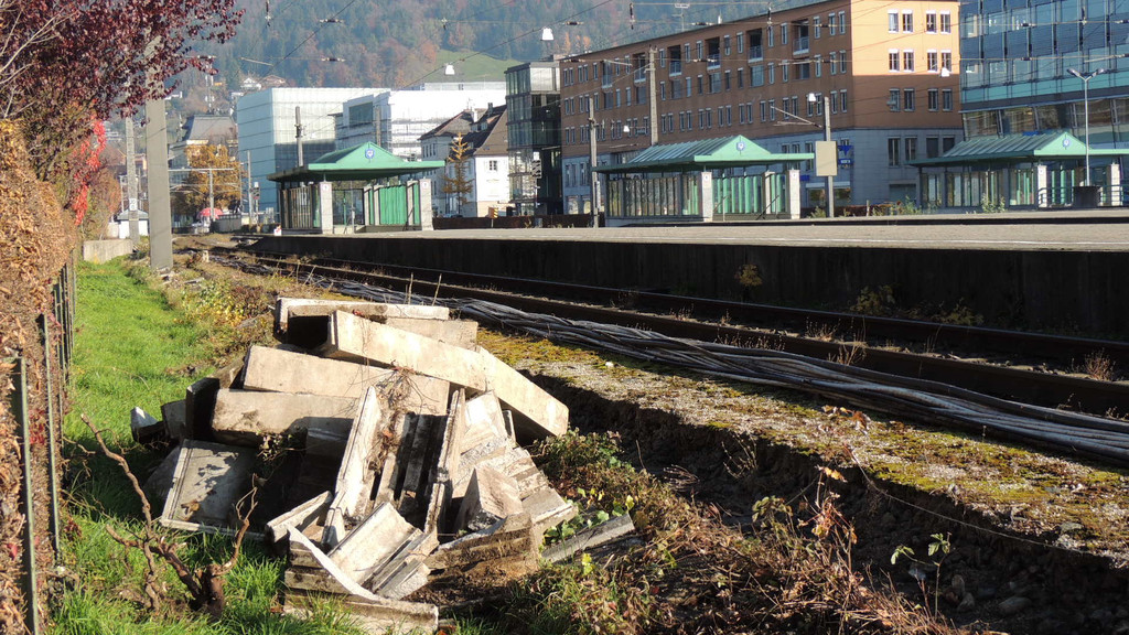 DSCN8083_JPG-1353460512