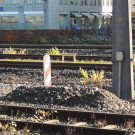 DSCN8086_JPG-1353460520