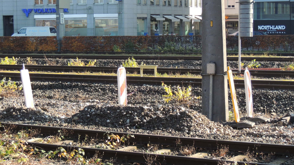 DSCN8086_JPG-1353460520